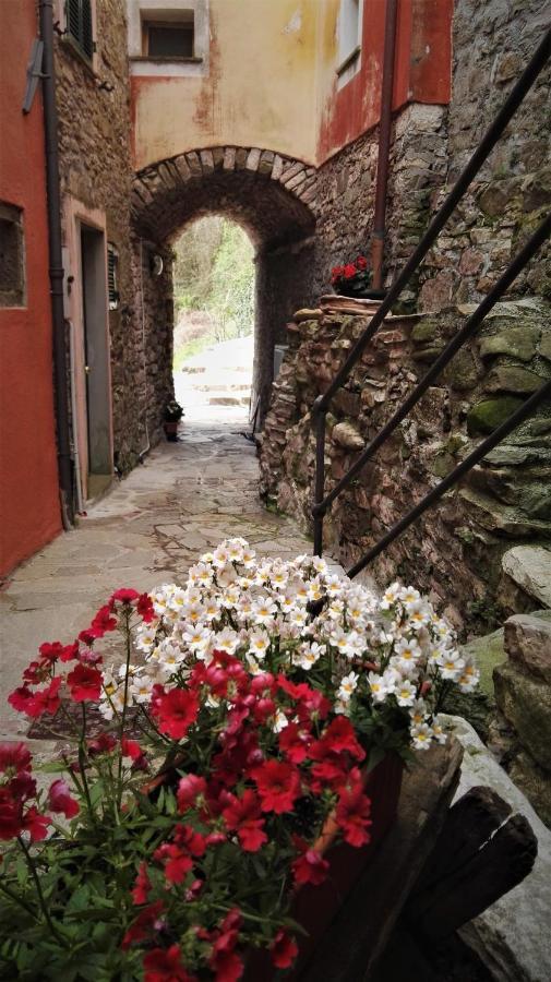 Borgo Di Codeglia - Country Rooms Riccò del Golfo di Spezia Eksteriør bilde