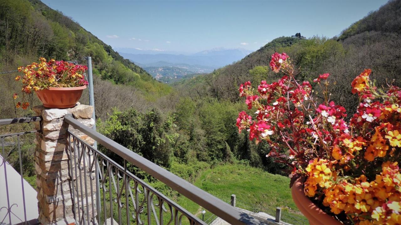Borgo Di Codeglia - Country Rooms Riccò del Golfo di Spezia Eksteriør bilde